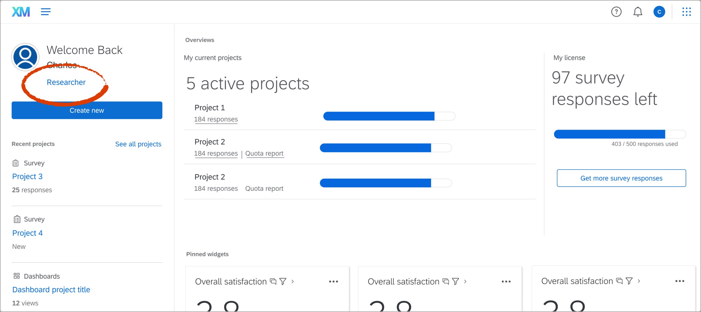 Early role-based homepage design exploration